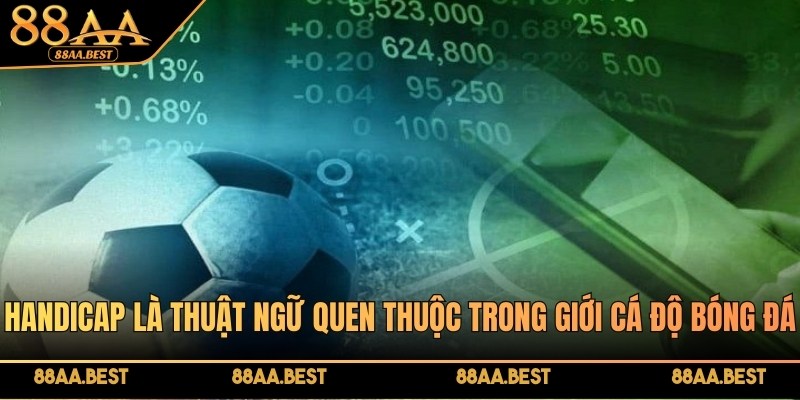 Handicap là thuật ngữ quen thuộc khi cá cược bóng đá tại 88AA